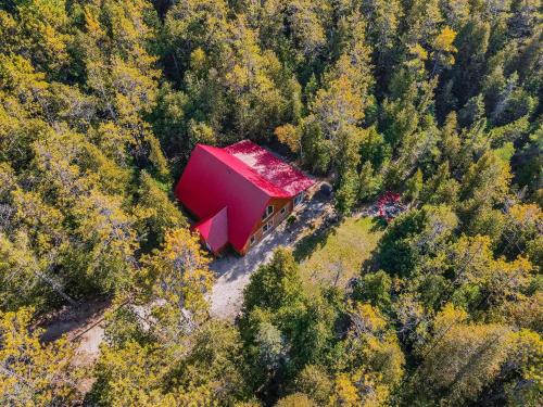 Tobermory House | Forest Cabin By National Park & Tobermory
