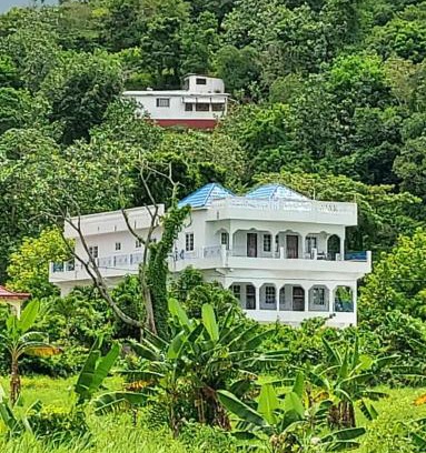 Port Antonio Apartment | Forest Cottage