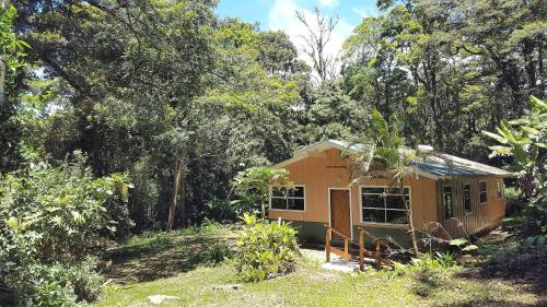 Monteverde House | Forest Garden House