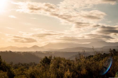 Knysna House | Forest Harmony