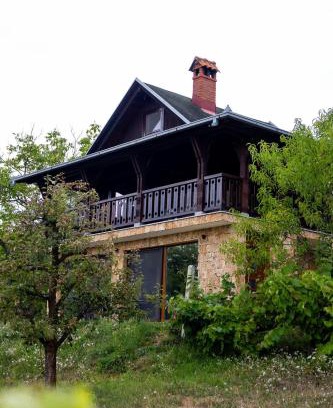 Central Serbia House | Forest Heaven Retreat with jakuzz