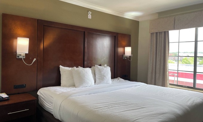 Forest Park Hotel | Forestpark Suites