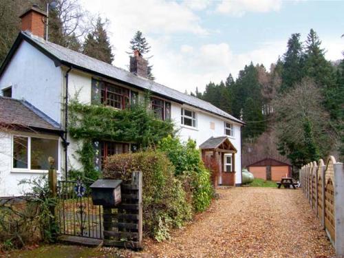 Bala House | Forestry Cottage