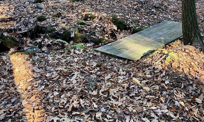 Middle Grove Apartment | former summer camp/3 cabins/glamping tents/60acres