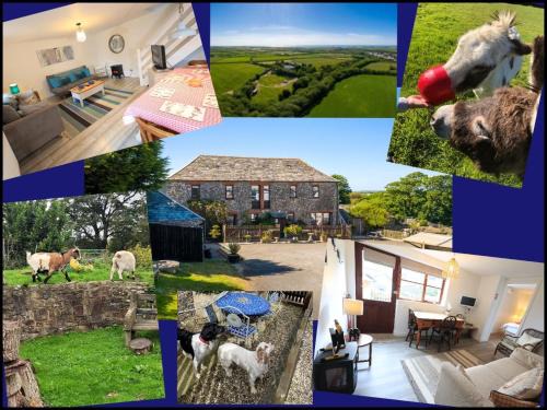 Hartland House | Fosfelle Cottages