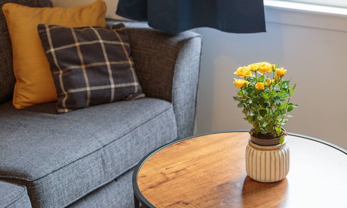 Dalry Apartment | Fountain Park Apartment 1bed