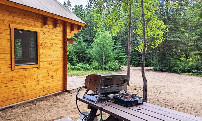 Hastings Highlands Cabin | Fox Den #3