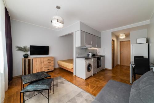 Siauliai City Center Apartment | Fox studio apartment