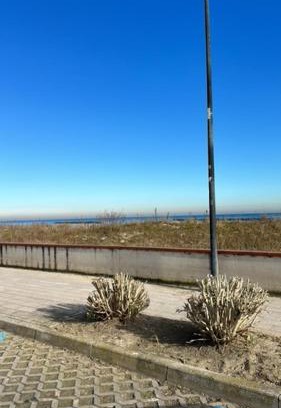 Porto Garibaldi Apartment | Frontemare