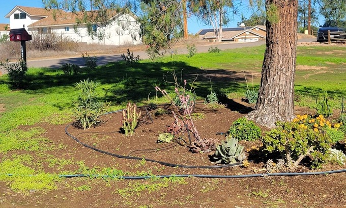 Ramona House | Full RV hookups, Green Park Like Setting in Rural Area!