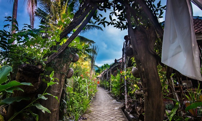 Lovina House | FunkyPlace