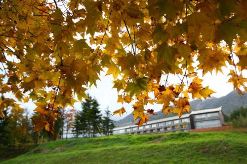 Furano Hotel | Furano Hotel