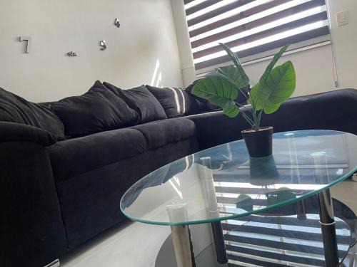 Puerto Vallarta Apartment | FW Peninsula Rental