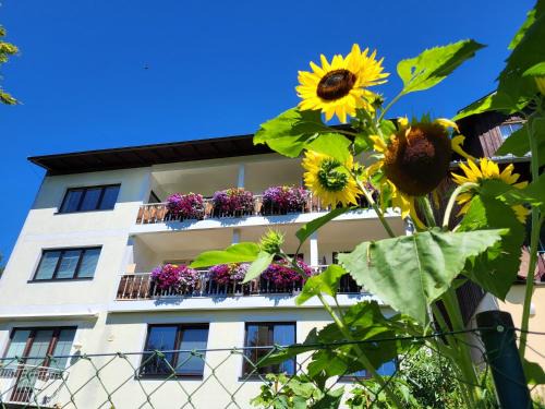 Ramsau am Dachstein Apartment | Gästehaus Herma