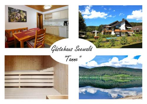 Blasiwald Apartment | Gästehaus Seewald- Ferienwohnung 3 "Tanne", Schluchsee, Blasiwald