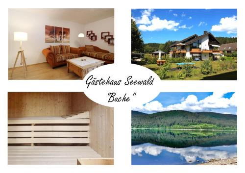 Blasiwald Apartment | Gästehaus Seewald- Ferienwohnung 5 "Buche", Schluchsee, Blasiwald