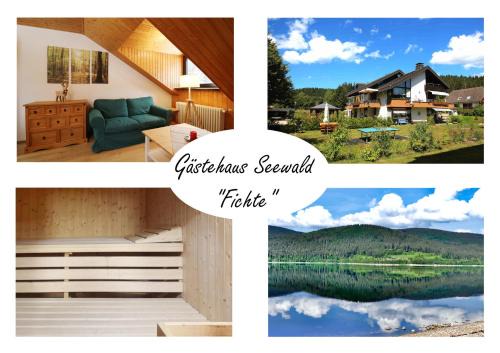 Blasiwald Apartment | Gästehaus Seewald- Ferienwohnung 6 "Fichte", Schluchsee, Blasiwald
