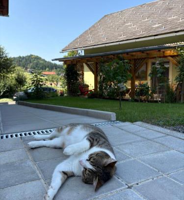 Fotschach Bed & Breakfast | Gästezimmer Schupanez