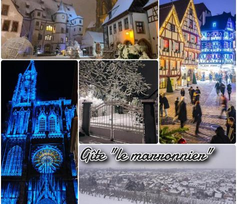 Chatenois Apartment | Gîte avec parking, au calme, entre Colmar-Riquewihr et Obernai ,marchés de Noël, 3 chambres, avec terrasse