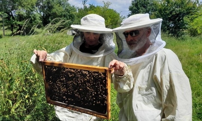Lesparre-Medoc House | Gîte de Ferme Vigneronne Avec Ateliers Découvertes Apiculture