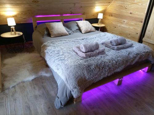 Besse-et-Saint-Anastaise House | Gîte l'estive du Clozel