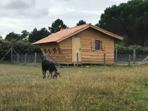 Le Porge Other | Gîte - La Ferme à la Plage