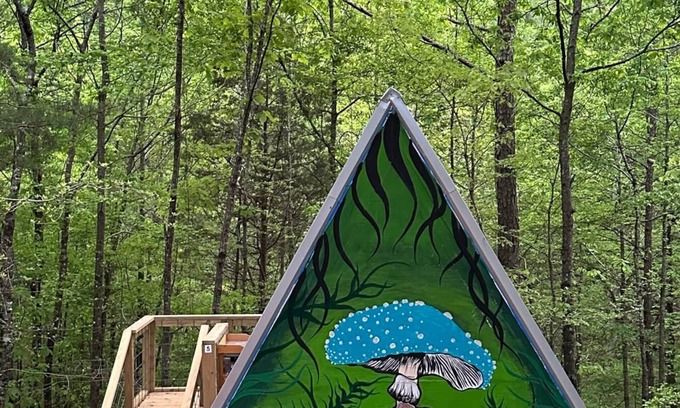 Talladega Cabin | G-5 Glamp in Bohamia - 268 acre forest retreat