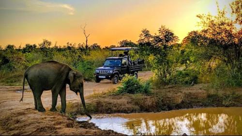 Udawalawa House | Gajaa Corido Safari Homestay