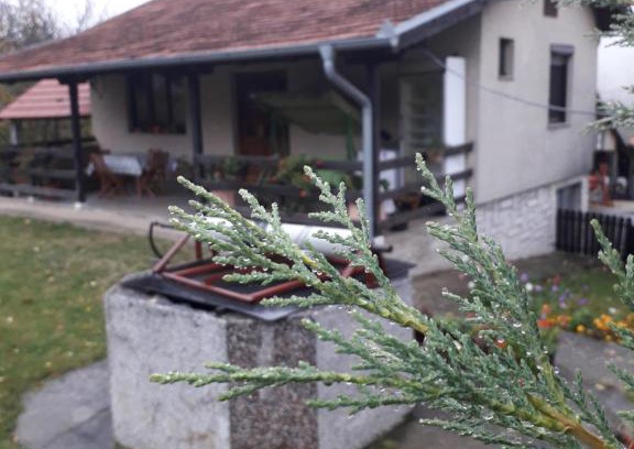 Lipovac Apartment | Galerija Jovanović