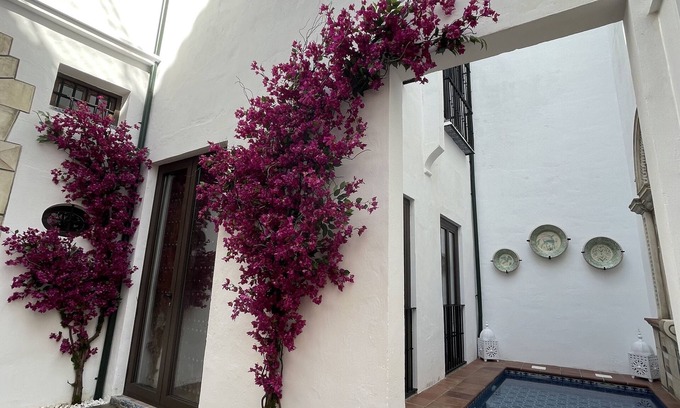 El Arenal Villa | GANDESA, PALACE HOUSE. Swimming pool, Palace house heart of Historic Sevilla