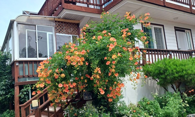 Ganghwa House | Ganghwa Sweet House Pension