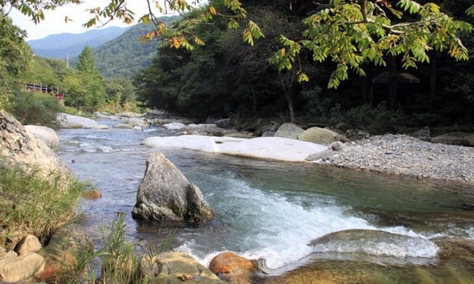 Buk House | Gapyeong Purun Valley Pension