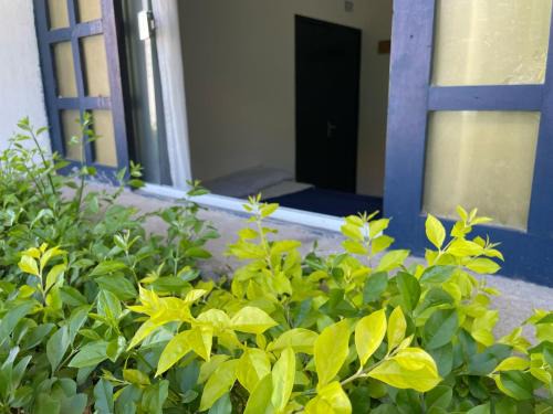 Garanhuns Apartment | Garden Room Comfort