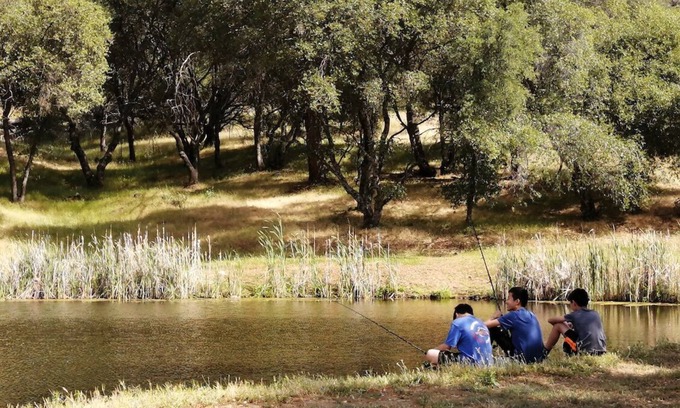 El Dorado Hills House | Gated Family Friendly Waterfront Guest Suite