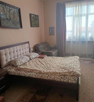Uzhhorod Apartment | Gelena flat