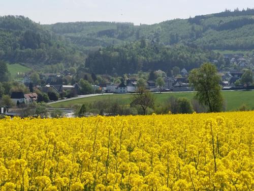 Stockum Apartment | gemütliche Dachgeschoss- Ferienwohnung im Grünen