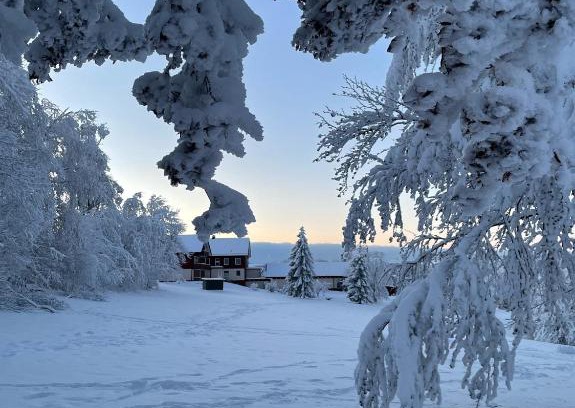 Hohegeiß Apartment | Gemütliche Ferienwohnung Harz Braunlage Hohegeiß