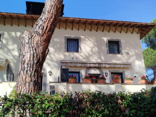Quartiere XXVII Primavalle Apartment | Gemelli Flower's House