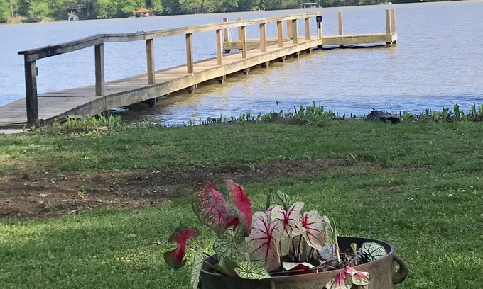 Rogersville House | Get away from the hustle of everyday life with a beautiful river front retreat