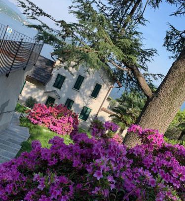 Belgirate Apartment | Giardini MAGNOLIA