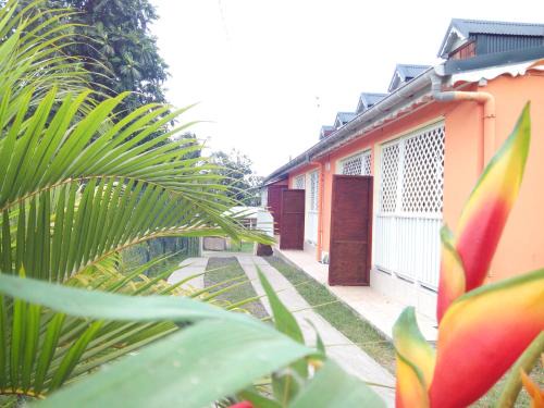 Morne-A-l'Eau Apartment | GITES Cocles 7 jours minimum