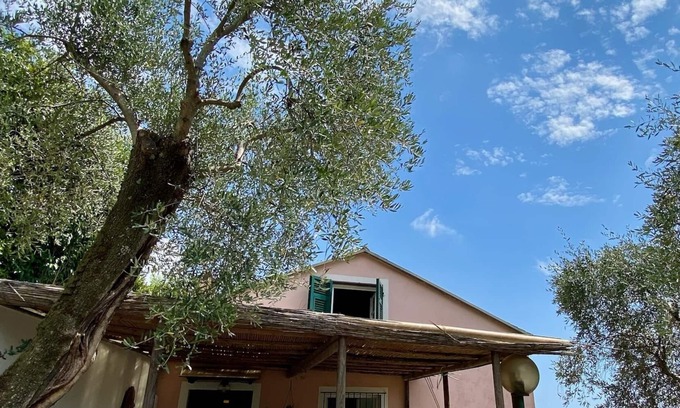 San Lorenzo della Costa Other | “Giulli” Typical Ligurian rustic immersed in the olive grove