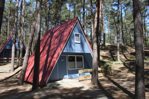 Trassenheide House | Glücklich am Strand - Ruhe im Kiefernwald mit Terrasse & Hundeherz willkommen