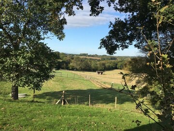 Hailsham Cabin | Glamping 1-Bed Cottage in Hellingly in Hellingly