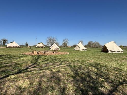 St Albans Other | Glamping and Camping at The Orchard