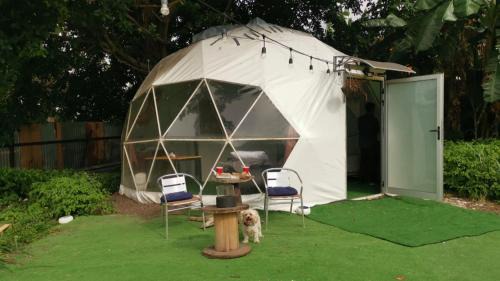 Escazu Other | Glamping Lily