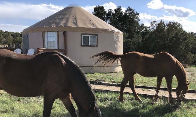 Edgewood Cabin | Glamping! Luxury Yurt enjoy the night sky & walking trail