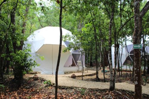 Tulum Other | Glamping Mayan Glam