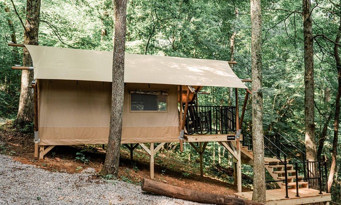 Knoxville RV Rental | GlampKnox - Tree Solo