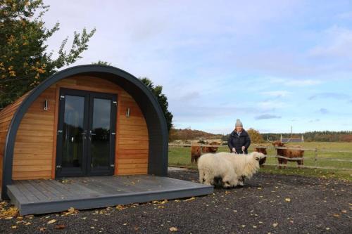 Elgin House | Glampods Glamping Pod - meet Highland Cows and Sheep Elgin